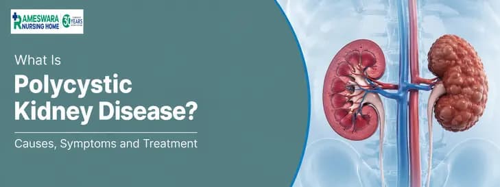 What Is Polycystic Kidney Disease? 1